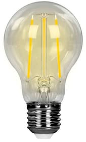Hombli Smart Bulb E27 (7W) - Filament Ampoule Smart Bulb E27 (7W) - Filament Ampoule Hombli 785300155049 N. figura 1