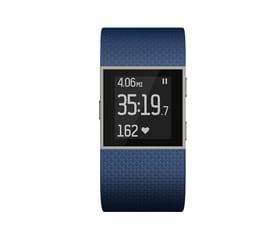 fitbit surge small