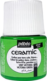 Pebeo PÉBÉO Ceramic Keramikmalfarbe 28 Victoria Green 45ml Keramikfarbe PÉBÉO Ceramic Keramikmalfarbe 28 Victoria Green 45ml Keramikfarbe Pebeo 663510001400 Farbe Victoriagrün Bild Nr. 1