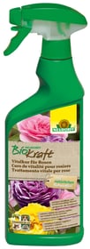 Remède vital BioKraft pour les roses, 500 ml Renforcement des plantes Neudorff 658243000000 Photo no. 1