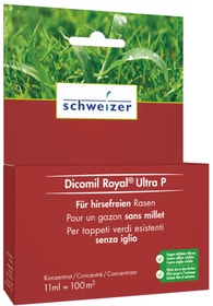 Eric Schweizer Dicomil Royal Ultra P, 11 ml Dicomil Royal Ultra P, 11 ml Eric Schweizer 658014600000 N. figura 1