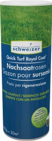 Eric Schweizer Quick - Turf Royal Coat Nachsaatrasen, 0.5 kg Rasensamen Quick - Turf Royal Coat Nachsaatrasen, 0.5 kg Rasensamen Eric Schweizer 659204400000 Bild Nr. 1