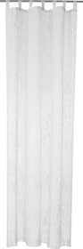 MARIANO Fertigvorhang Tag MARIANO Fertigvorhang Tag 430273721810 Farbe Weiss Grösse B: 150.0 cm x H: 260.0 cm Bild Nr. 1