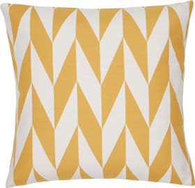 ALEXIA Cuscino ALEXIA Cuscino 450736940852 Colore Giallo Dimensioni L: 45.0 cm x A: 45.0 cm N. figura 1