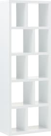 INDUS Scaffale INDUS Scaffale 407539900000 Dimensioni L: 70.0 cm x P: 34.0 cm x A: 198.0 cm Colore Bianco N. figura 1