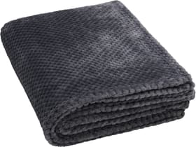 INESA Decke INESA Decke 451645643380 Farbe Grau Grösse B: 150.0 cm x H: 200.0 cm Bild Nr. 1