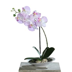 Orchidée dans un bol Fleur artificielle 657354300002 Couleur Lavende Taille H: 32.0 Photo no. 1