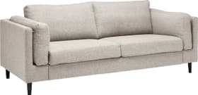 DIENER 2.5er-Sofa DIENER 2.5er-Sofa 405738900000 Grösse B: 208.0 cm x T: 92.0 cm x H: 82.0 cm Farbe Hellgrau Bild Nr. 1