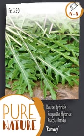 Do it + Garden Salatrauke, Rucola 'Runway' 3g Gemüsesamen Salatrauke, Rucola 'Runway' 3g Gemüsesamen Do it + Garden 287112200000 Bild Nr. 1