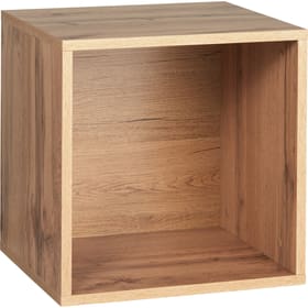 FILUS Würfel-Box FILUS Würfel-Box 407552700000 Bild Nr. 1