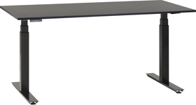 FLEXCUBE PROFI Bureau FLEXCUBE PROFI Bureau 401898900000 Dimensions L: 140.0 cm x P: 80.0 cm x H: 67.0 cm Couleur Noir Photo no. 1