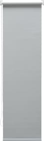 POLAR Rollo POLAR Rollo 430747906281 Farbe Hellgrau Grösse B: 63.0 cm x H: 185.0 cm Bild Nr. 1