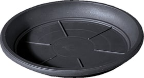 Deroma Day R Soucoupe Day R Soucoupe Deroma 657668900000 Couleur Anthracite Taille ø: 45.0 cm x H: 5.5 cm Photo no. 1