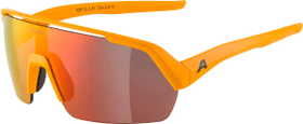 TURBO HR Sportbrille Alpina 469534100034 Grösse Einheitsgrösse Farbe orange Bild-Nr. 1