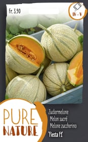 Do it + Garden Melon sucré 'Fiesta F1' 10 Korn Semences de legumes Melon sucré 'Fiesta F1' 10 Korn Semences de legumes Do it + Garden 287117400000 Photo no. 1