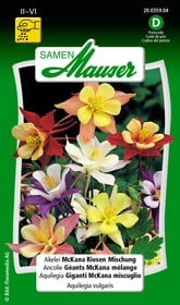 Samen Mauser Akelei McKana Riesen Mischung Blumensamen Akelei McKana Riesen Mischung Blumensamen Samen Mauser 650101101000 Inhalt 0.5 g (ca. 80 Pflanzen oder 4 - 5 m² ) Bild Nr. 1