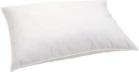 MEZZO forte Federn-Kopfkissen MEZZO forte Federn-Kopfkissen 451746310610 Farbe Weiss Grösse B: 65.0 cm x T: 65.0 cm Bild Nr. 1
