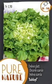 Endivie glatt 'Bubikopf' 2.5g Gemüsesamen Do it + Garden 287110100000 Bild Nr. 1