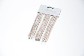 Balthasar Accessoires pour lampe-tempête Mèche de rechange Accessoires pour lampe-tempête Mèche de rechange Balthasar 659343800000 Photo no. 1
