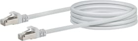 Schwaiger Cable de réseau S/FTP Cat. 6 0.5m blanc Câble de réseau Cable de réseau S/FTP Cat. 6 0.5m blanc Câble de réseau Schwaiger 613186900000 Photo no. 1