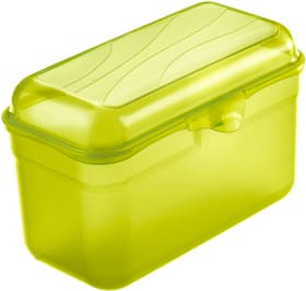 FUN Boîte à goûter 1,75 l, plastique (PP) sans BPA, vert Boîte à goûter Rotho 674360300000 Photo no. 1