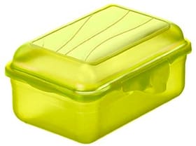 FUN Boîte à goûter 0,4 l, plastique (PP) sans BPA, vert Boîte à goûter Rotho 674360700000 Photo no. 1