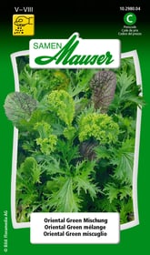 Samen Mauser Oriental Green mélange Semences de gourmet Oriental Green mélange Semences de gourmet Samen Mauser 650112901000 Contenu 2.5 g (env. 1 - 3 m²) Photo no. 1