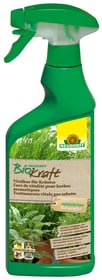 Neudorff BioKraft Vitalkur für Kräuter, 500 ml Pflanzenstärkung BioKraft Vitalkur für Kräuter, 500 ml Pflanzenstärkung Neudorff 658242800000 Bild Nr. 1