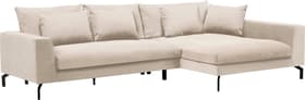 KRÄMER II Canapé d'angle KRÄMER II Canapé d'angle 405828900000 Dimensions L: 310.0 cm x P: 171.0 cm x H: 80.0 cm Couleur Beige Photo no. 1