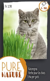 Herbe pour les chats 25g Pure Nature Herbe a chats Do it + Garden 287108700000 Photo no. 1
