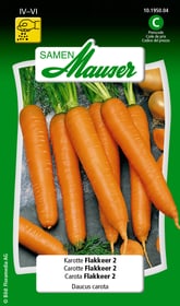 Samen Mauser Carotte Flakkeer 2 Semences de legumes Carotte Flakkeer 2 Semences de legumes Samen Mauser 650110901000 Contenu 5 g (env. 300 - 500 plantes ou 5 - 8 m²) Photo no. 1