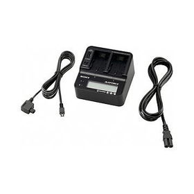 AC-VQV10 Double Charger