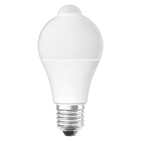Osram STAR+ MOTION SENSOR LED E27 mit Bewegungssensor STAR+ MOTION SENSOR LED E27 mit Bewegungssensor Osram 421082500000 Bild Nr. 1