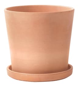 Soendgen Vaso Sicilia terracotta Vaso Sicilia terracotta Soendgen 658710700025 Taglio ø: 25.0 cm x A: 25.0 cm Colore Terracotta N. figura 1