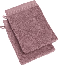NEVA Lavettes à 2 piéces NEVA Lavettes à 2 piéces 450849720045 Couleur Violet Dimensions L: 15.0 cm x H: 21.0 cm Photo no. 1