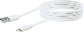 Flachkabel Apple Lightning 1,5 m Lightning-Kabel Schwaiger 613184400000 Bild Nr. 1