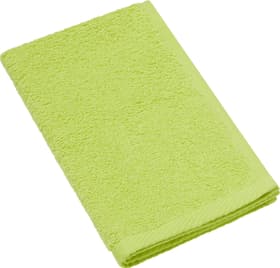 SMART FEELING Serviette d'hote SMART FEELING Serviette d'hote 450873020260 Couleur Vert Dimensions L: 30.0 cm x H: 50.0 cm Photo no. 1