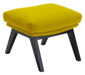 ANDRES Repose-pieds ANDRES Repose-pieds 402441208049 Dimensions L: 51.0 cm x P: 40.0 cm x H: 41.0 cm Couleur limette Photo no. 1