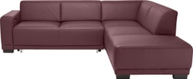 KRÜGER Canapé dangle KRÜGER Canapé dangle 405722000000 Dimensions L: 258.0 cm x P: 219.0 cm x H: 77.0 cm Couleur Bordeaux Photo no. 1