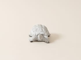 Marein Schildkröte Deko Figur Schildkröte Deko Figur Marein 657325000000 Bild Nr. 1