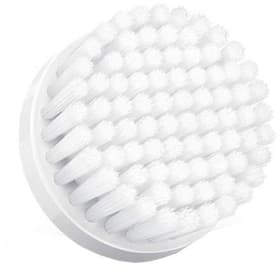 Philips Visabrosse de rechange pour peau normale SC5990/10 Visabrosse de rechange pour peau normale SC5990/10 Philips 785300124831 Photo no. 1