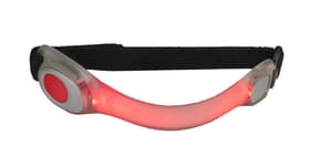 C-ME-Band