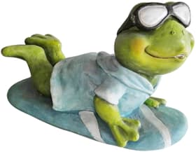 Do it + Garden Grenouille Surfboard Accessoires décoratifs Grenouille Surfboard Accessoires décoratifs Do it + Garden 657638100000 Photo no. 1