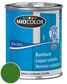 Acryl Vernice colorata lucida Blu genziana 750 ml Acryl Vernice colorata Miocolor 660541800000 Colore Verde foglio Contenuto 125.0 ml N. figura 1
