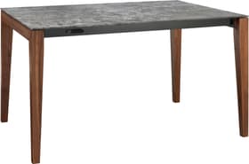 MEDICI Table MEDICI Table 402385115015 Couleur Orix Dimensions L: 150.0 cm x P: 90.0 cm x H: 75.0 cm Photo no. 1