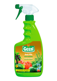 Compo Gesal Anti-maladies pour fruits et légumes, 750 ml Maladies fongiques Anti-maladies pour fruits et légumes, 750 ml Maladies fongiques Compo Gesal 658513200000 Photo no. 1