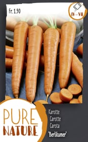 Do it + Garden Carotte 'Berlikumer' mi-tardive 5g Semences de legumes Carotte 'Berlikumer' mi-tardive 5g Semences de legumes Do it + Garden 287114600000 Photo no. 1