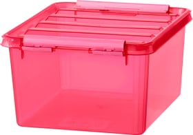 Colour 2