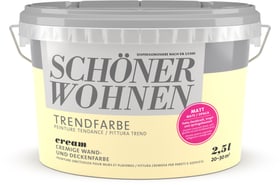 Schöner Wohnen Trendfarbe Matt Cream 2.5 l Wandfarbe Trendfarbe Matt Cream 2.5 l Wandfarbe Schöner Wohnen 660907700000 Inhalt 2.5 l Bild Nr. 1