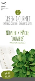 Do it + Garden Mâche 'Louviers', ruban porte-graines 5m Semences de gourmet Mâche 'Louviers', ruban porte-graines 5m Semences de gourmet Do it + Garden 287106200000 Photo no. 1